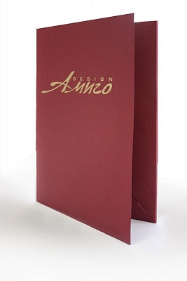 Папка полноцветная Amigo Design