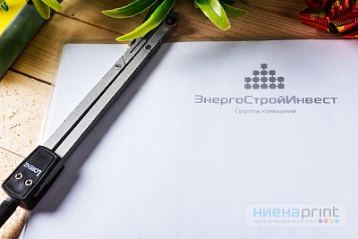 Папки с логотипом для ЭнергоСтройИнвест
