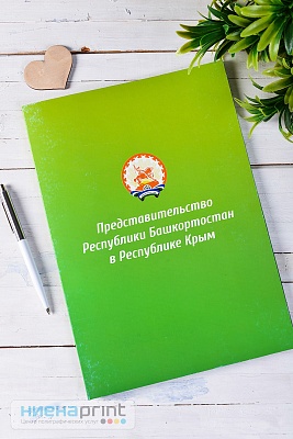 Папка картонная для презентации