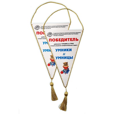 Вымпелы Умники и умницы